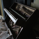 Image for article titled The Myth of an Untouched Chernobyl